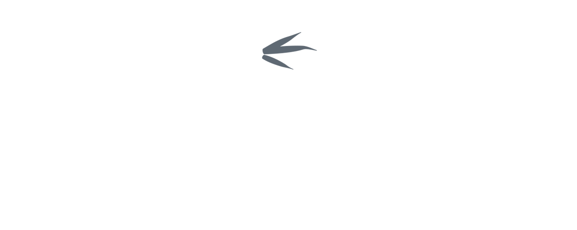 Bamboo Dental